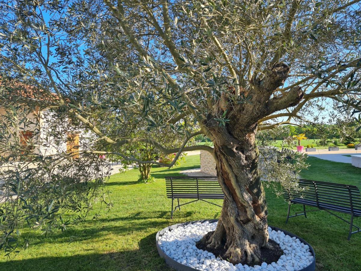 Domaine Du Cuiset -Gite Des Combles Villa Saint-André-sur-Vieux-Jonc Exterior foto